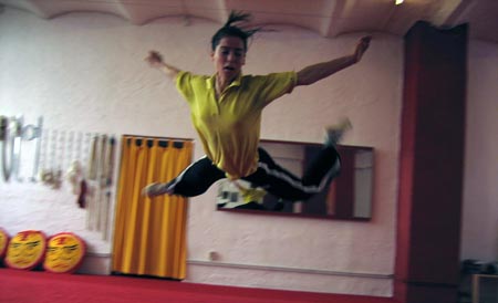 3.1  Was für ein Butterfly