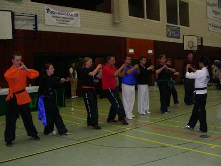 0.3 Die Soft Style Starter VI