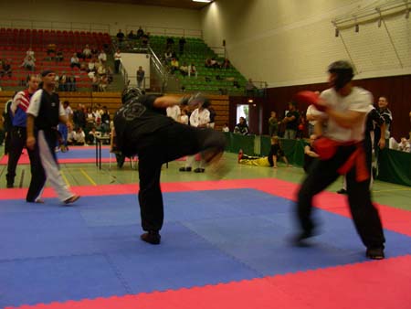 2.2 Manuel (Mawashi Geri) Pointfighting III