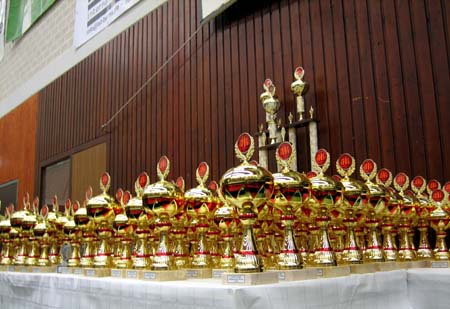 5.5 Immer wieder heiß begehrt...