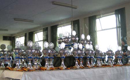 1.7 Die begehrenswerten Pokale