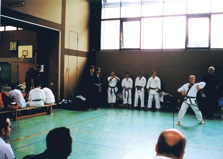 3.5 Hier siehjt man ein paar der Hard Style Starter