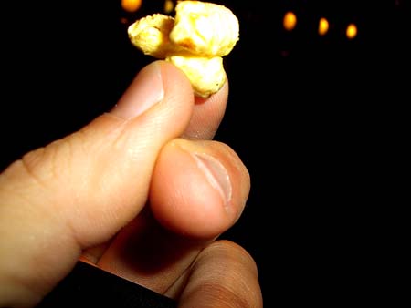 0.1 Ein Popkorn, sie alle zu knechten, ins Dunkel zu treiben, ne, war irgendwie anders...