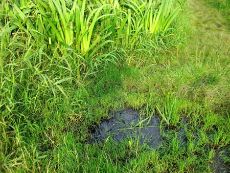 1.4 ...hier reingetreten