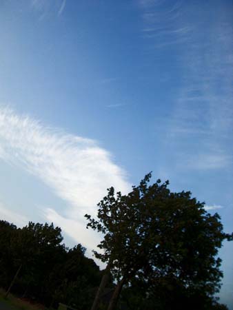 1.7 Da hat Alex wieder während der Fahrt telefoniert...