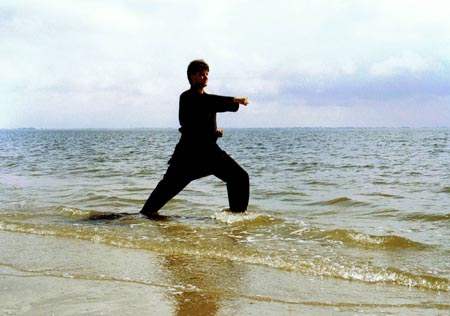 2.1 weniger spektakulär, aber äuerst effektiv; Gyaku Tsuki