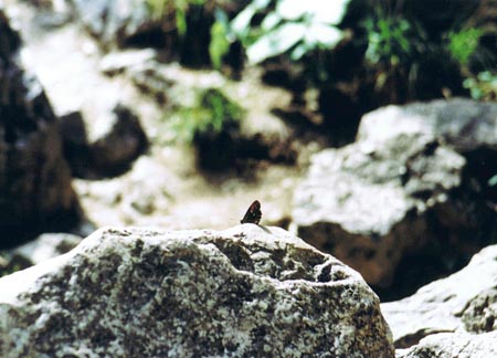 3.2 Ein weiterer Lehrgangsteilnehmer