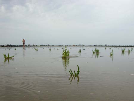 0.7 Die Füße Manuel sich hier reinigt, wird gleich im Sand nicht mehr bescheinigt