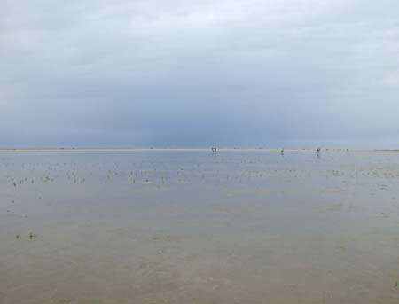 0.8 Manuel und Alex sind hier gerne, gibts hier nichts, nur in der Ferne