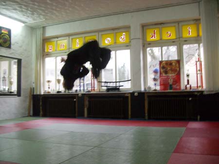 1.7 der trick ist hammer