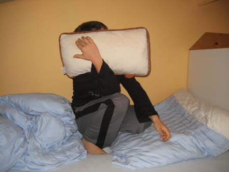 0.1.7 Um 6 gingen Manuel und Alex joggen, anschließend wurden alle gebuchten Häuser des Vereins vom Jungenzimmer mit Flüstertüte lautstark geweckt