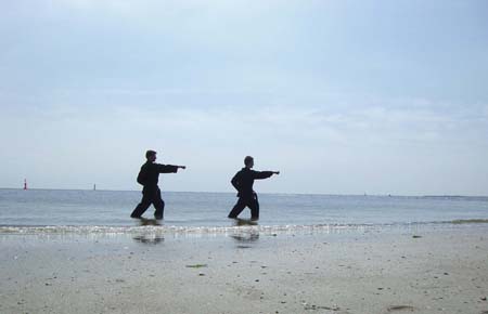 0.2.8 Gyaku Tsuki... Kommen von euch auch irgendwann noch spannendere Photos...