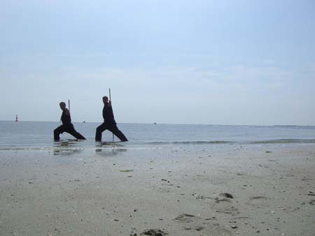 0.3.0 Das schaut nach Wushu aus