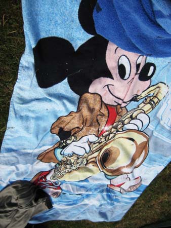 0.1.4 Alex' Badetuch