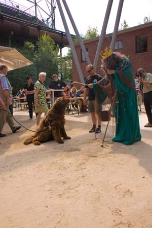 0.2.3 Die Hunde, oder besser Bären waren ja sooooo knuffig