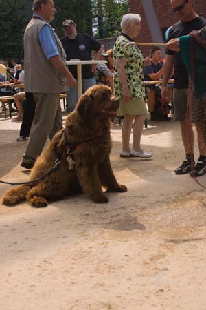0.2.4 Auch wenn es nicht ganz so ausschaut, aber die waren auch echt schlau