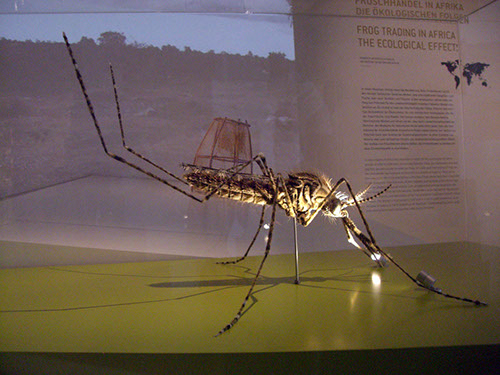 0.0.14 Die war aber recht groß...