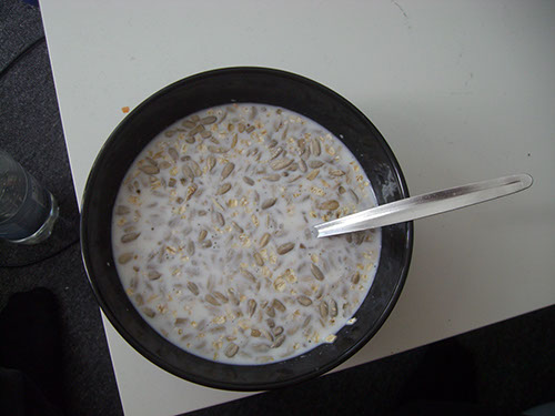 0.0.25 Nochmal lecker Milch mit Sonnenblumenkernen