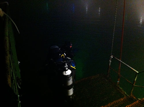 1.0 Alex und Manuel auf dem Weg von der 1. Plattform ins Wasser